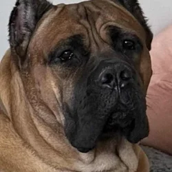 Looking for good home