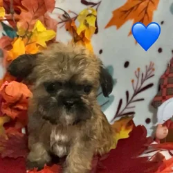 Marco