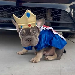 THANOS - Big Rope Fluffy Carrier