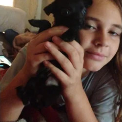 Pug/Chiweenie