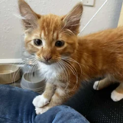 His name is Theo