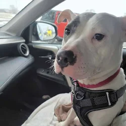 Sweet and Energetic Delilah