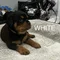 Thumbnail 22