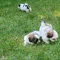 Thumbnail 20