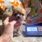 Thumbnail 11