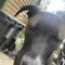 Thumbnail 16