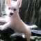 Thumbnail 15