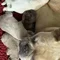 Thumbnail 23