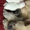 Thumbnail 24