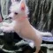 Thumbnail 14