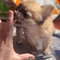 Thumbnail 12