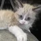 Thumbnail 13