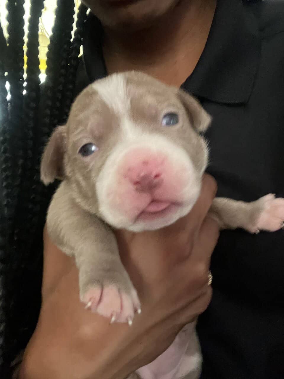 Pit lovers only image 2