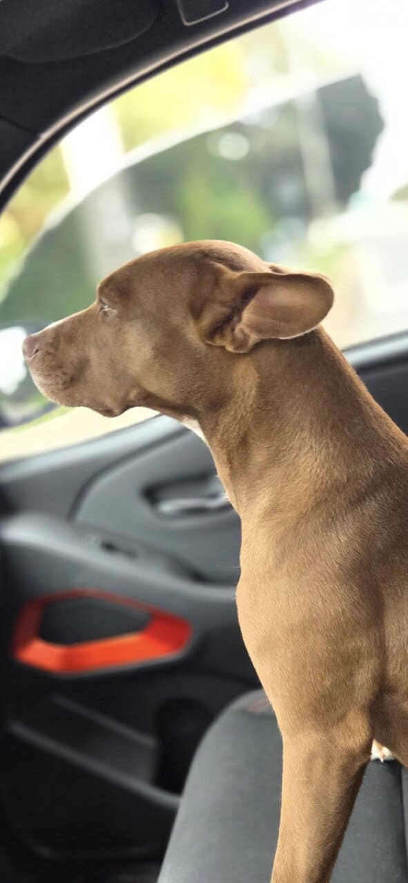 Sweet girl found outside of work image 1