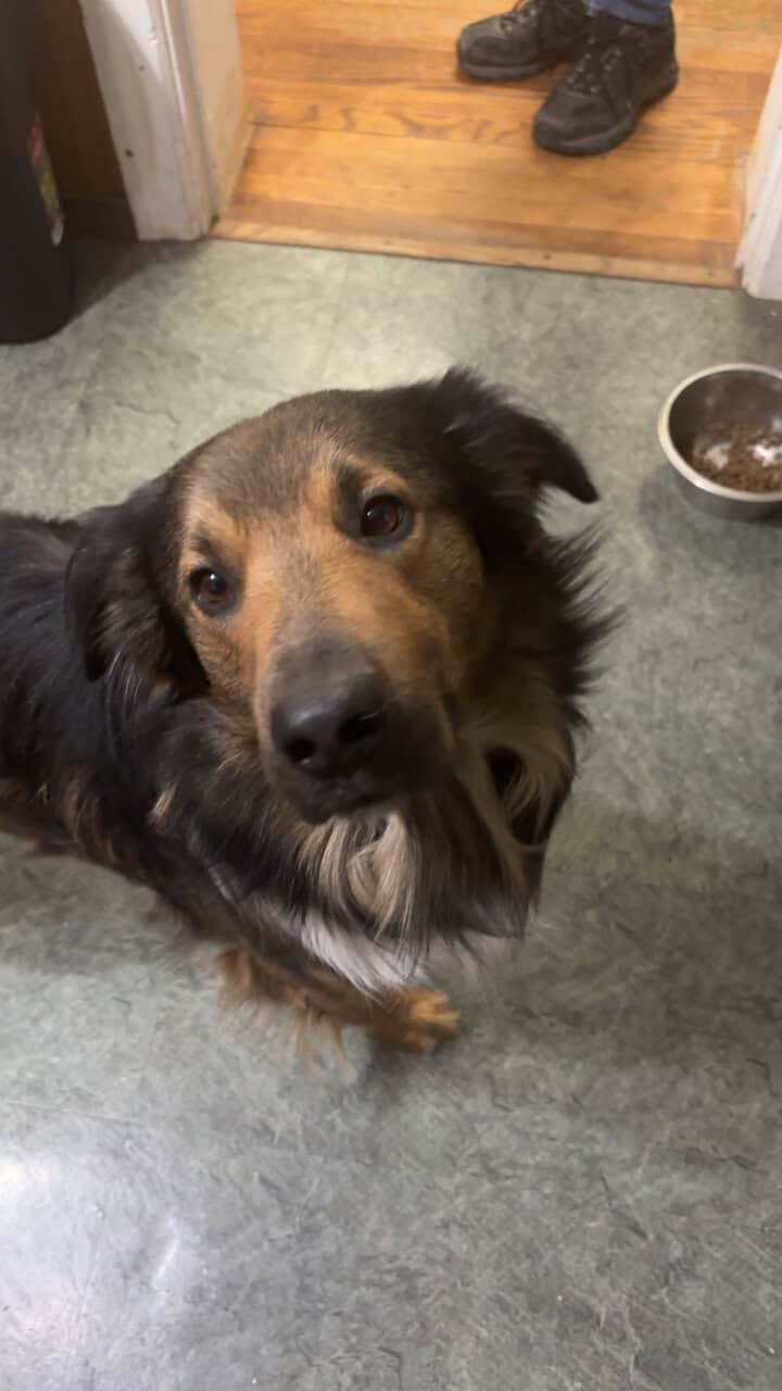 Need to rehome image 1