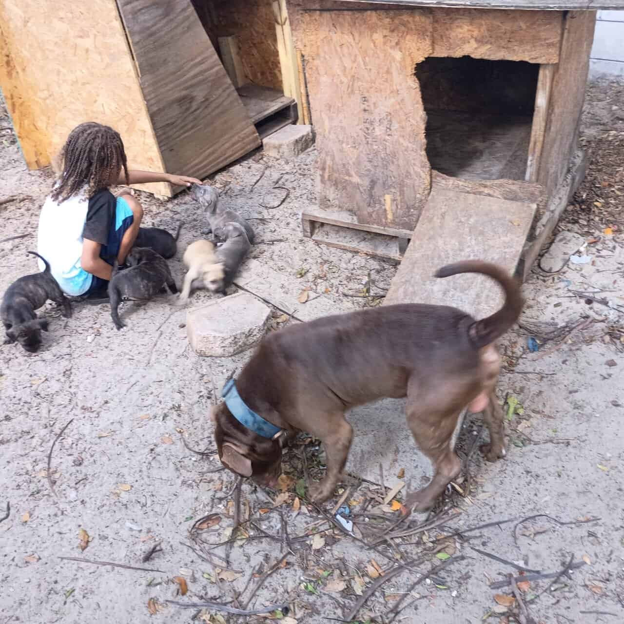 Dogman image 1
