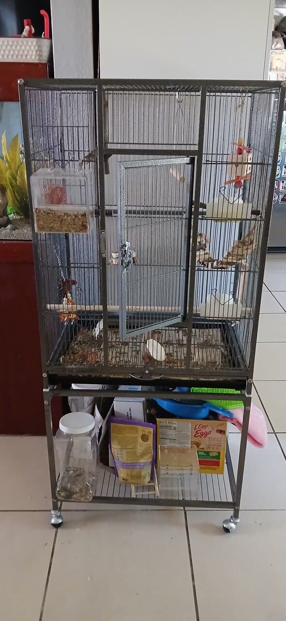 Bird cage and cockatiel image 1