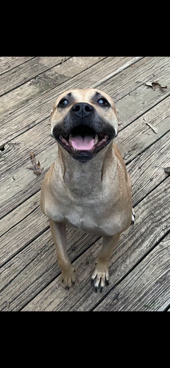 Meet Cardi D image 5