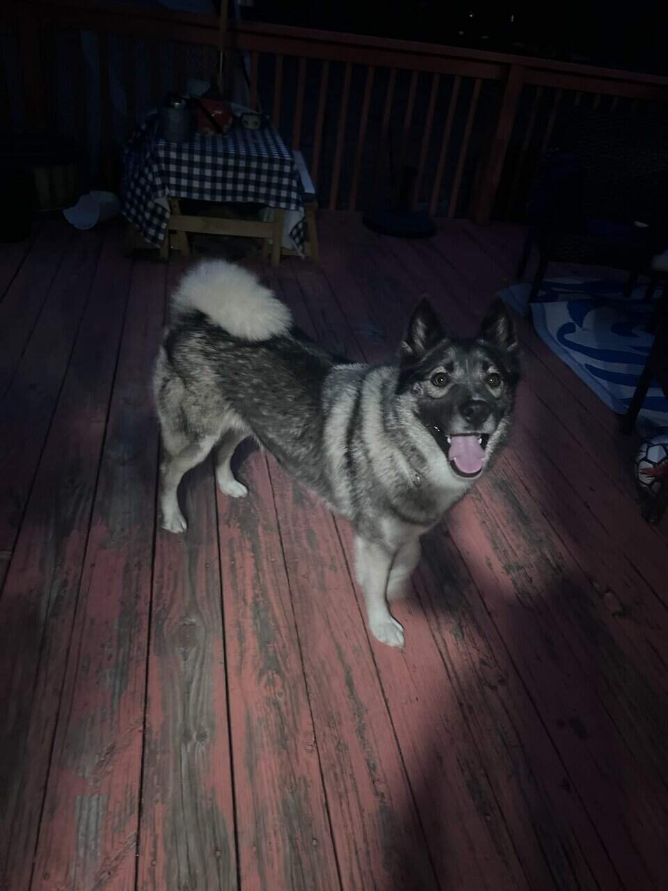 Rehome image 3