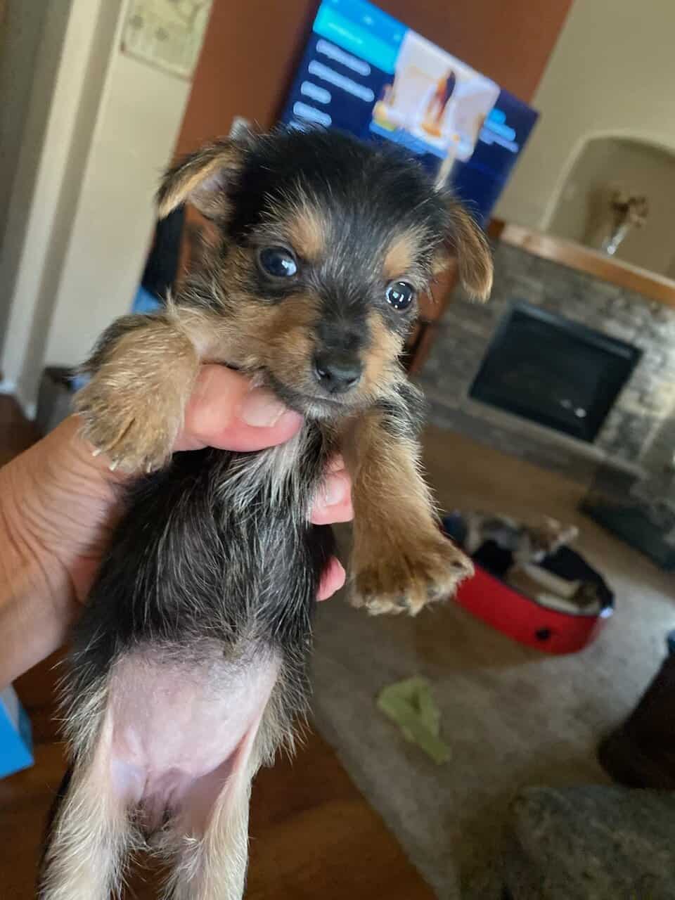 Available in December image 1