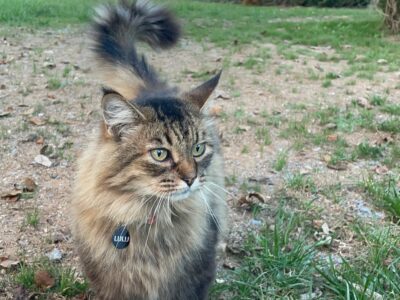 Moving, and need a new home for this beauty