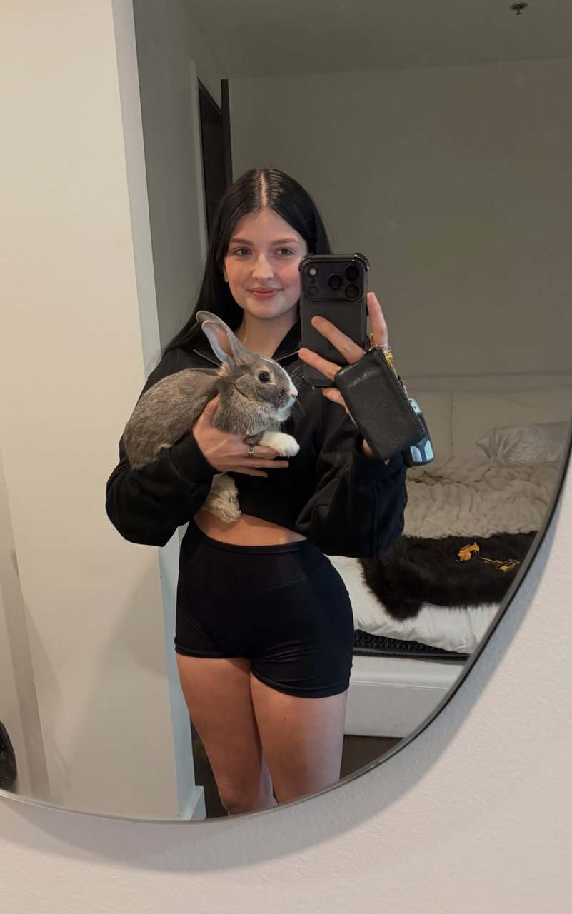 Rehoming Cuddly Bunny!! image 2