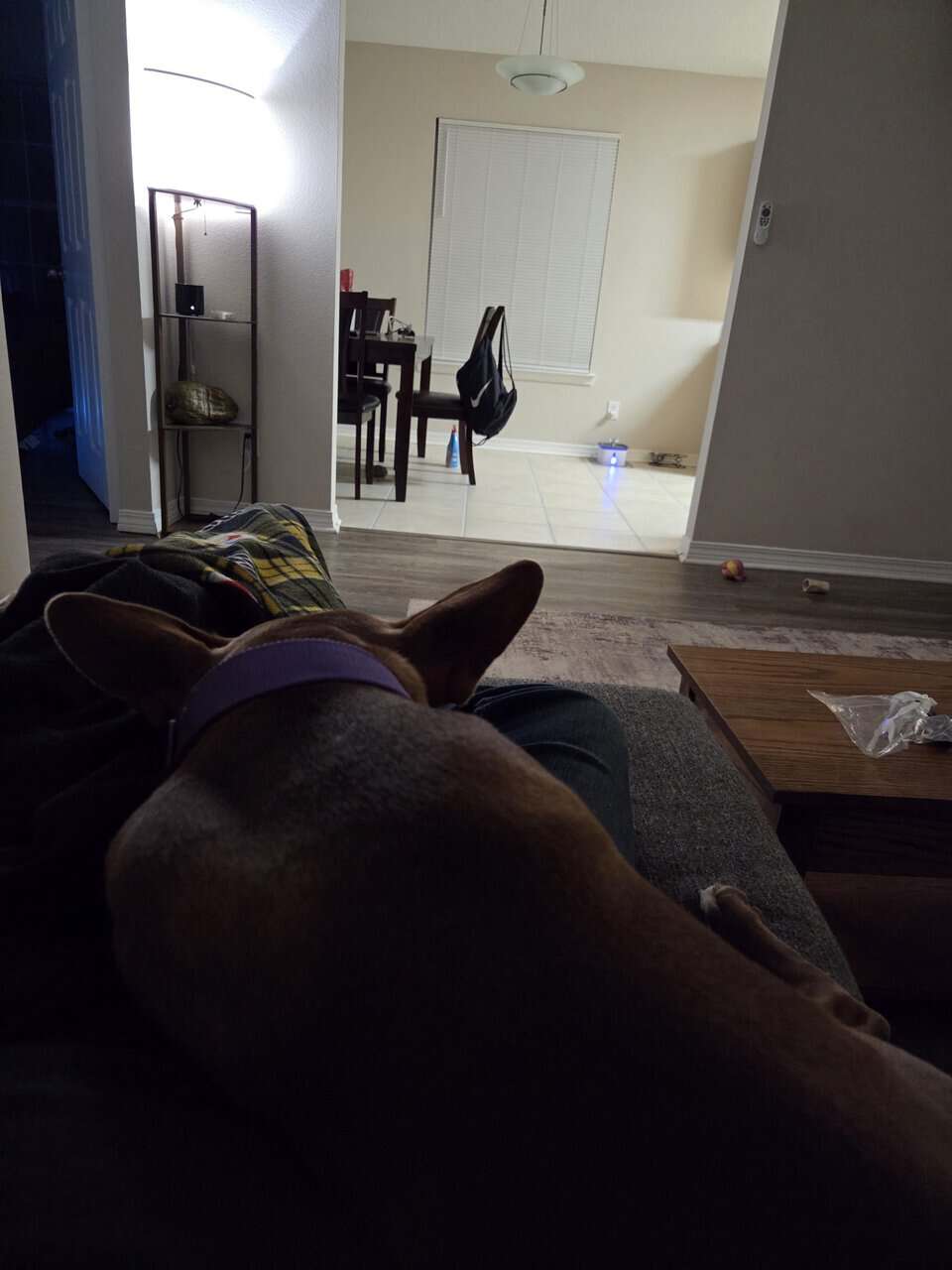 Sweet girl found outside of work image 2