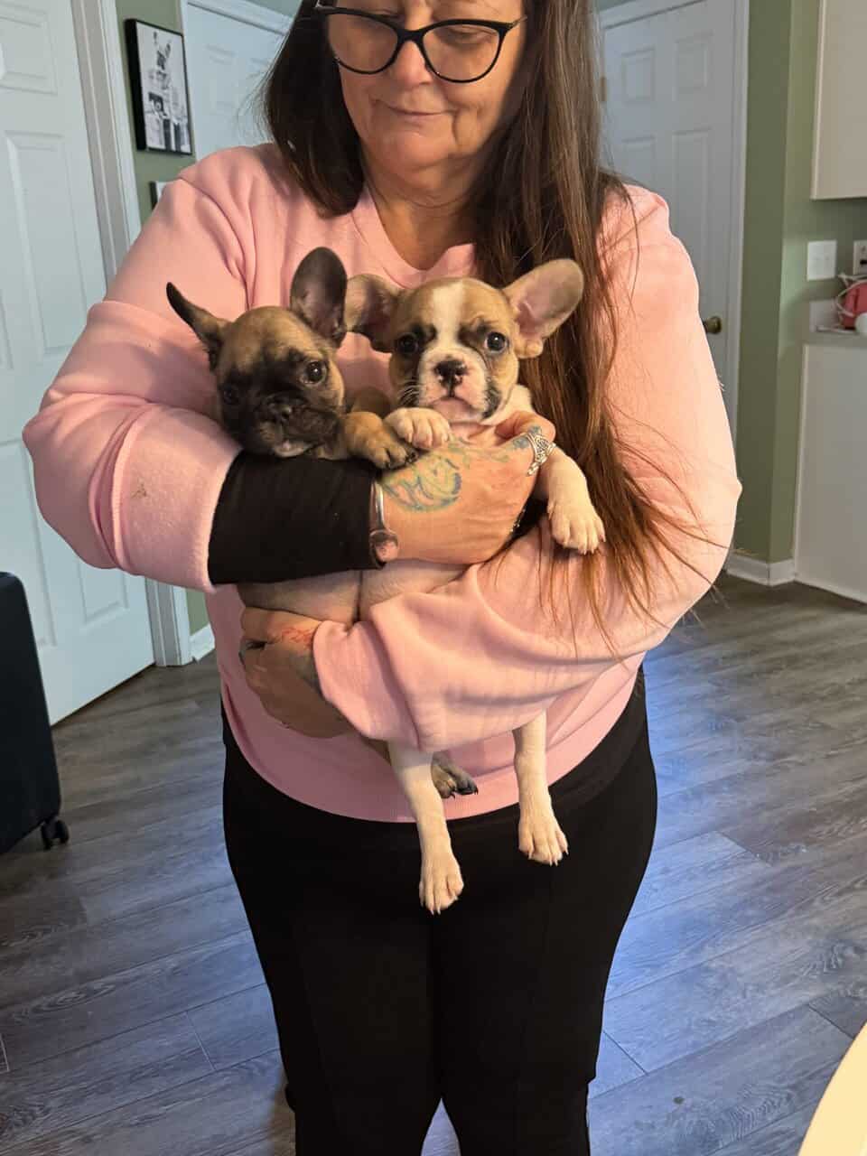 French bulldog puppies akc image 9