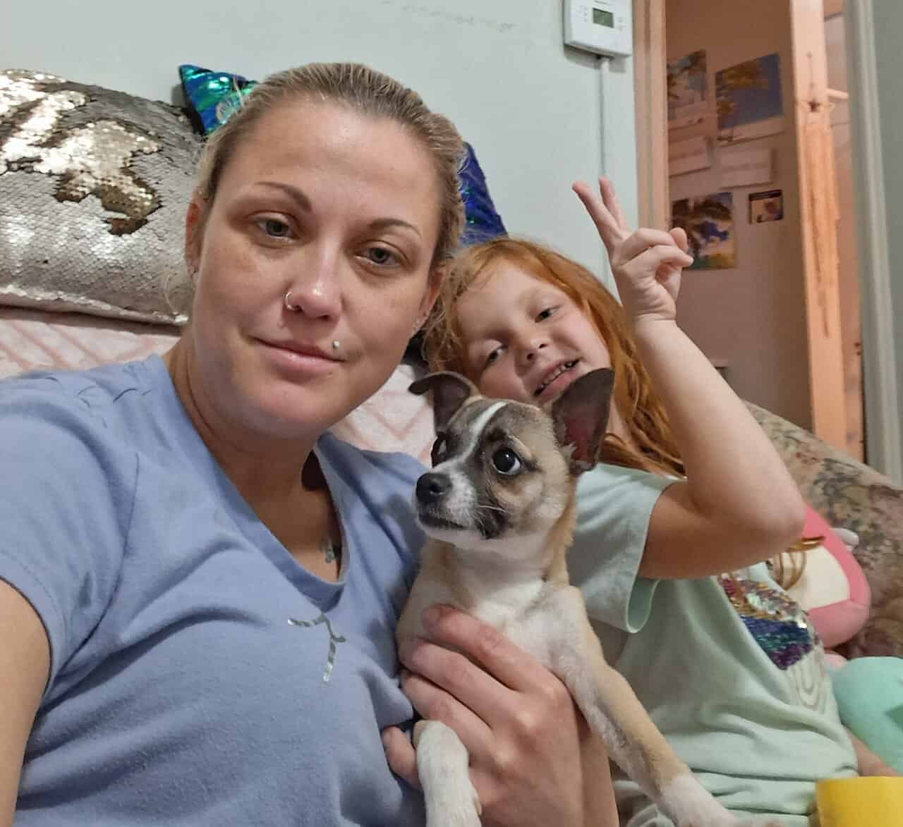 Deerhead Chihuahua 1 yr. Old Male (Boochie) image 9