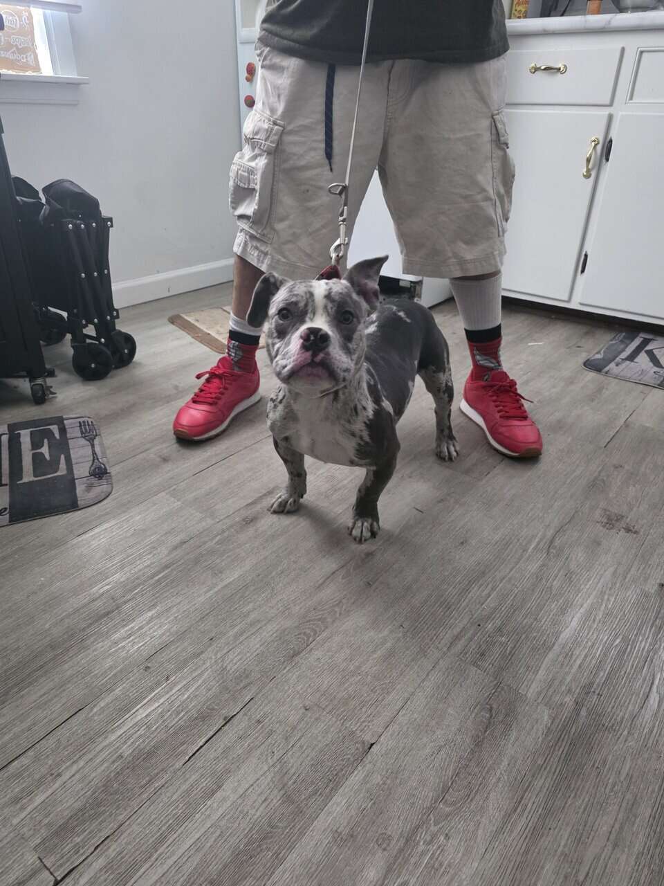Rare and unique image 2