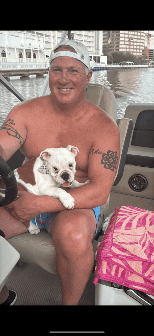 English Bulldog - Hiccup 10mths old image 1