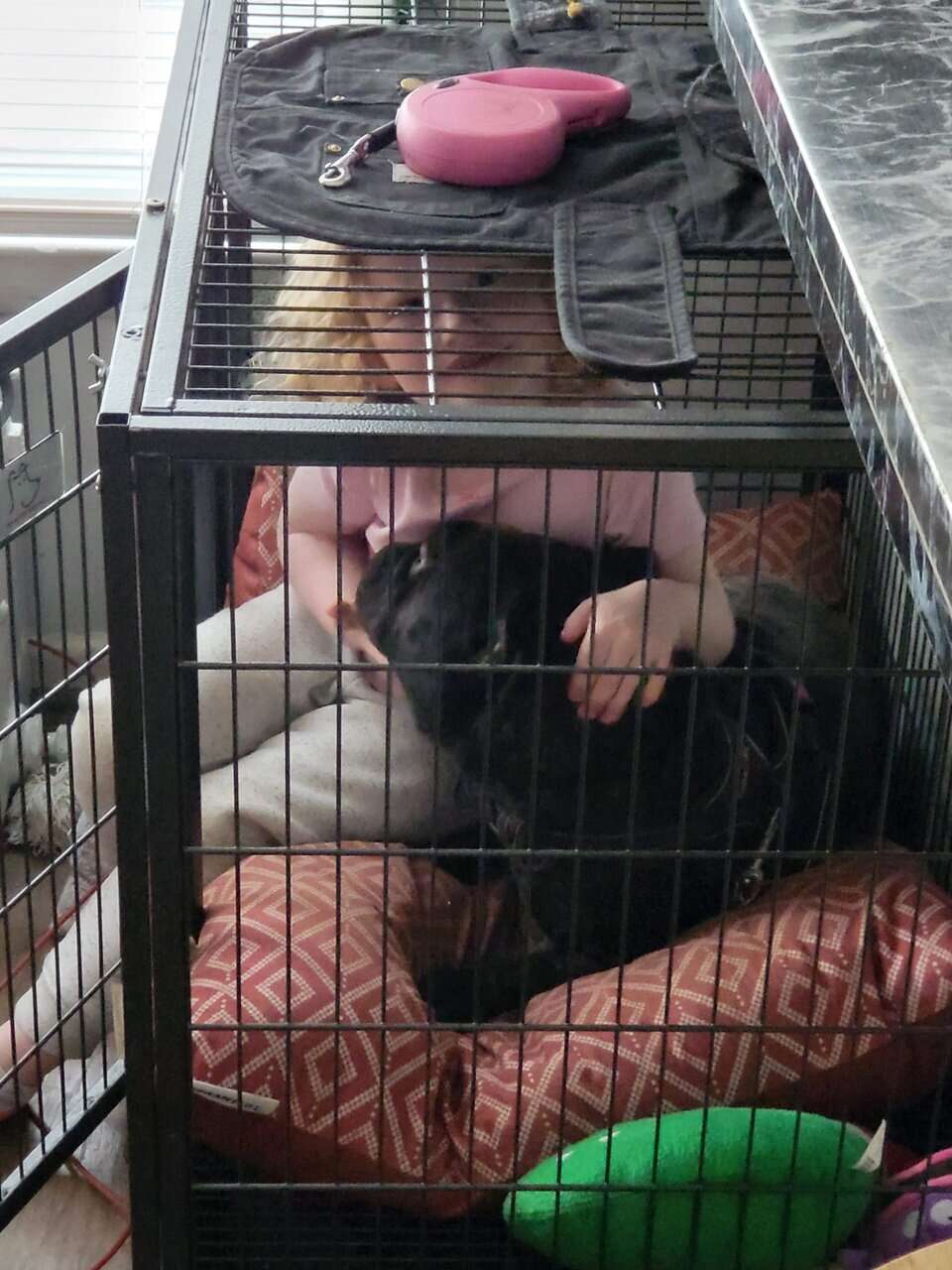 Selling to rehome sweet 6yr old f micro bully image 2