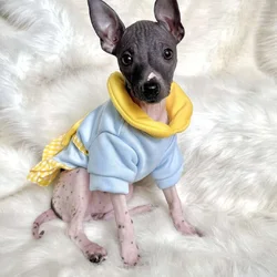 American Hairless Puppies