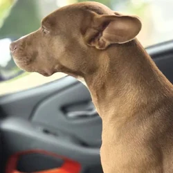 Sweet girl found outside of work