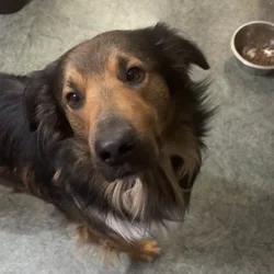 Need to rehome
