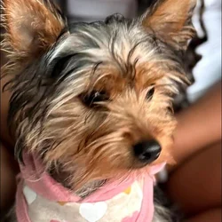 Bella