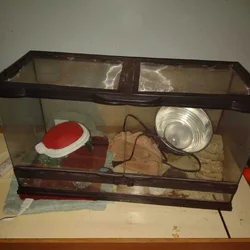 Tank and supplies