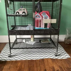 Bonded Sugar Glider Pair For Sale-Cage Included