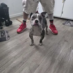 Rare and unique