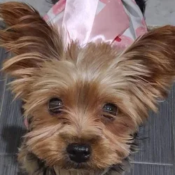 Sweet little BABY