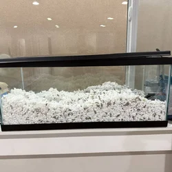 2 Gerbils + cage, food, bedding and accessories