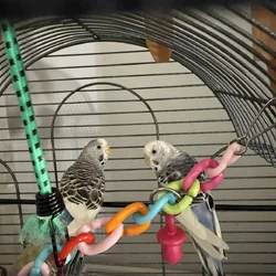 6 Parakeets for Sale