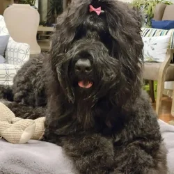 Guardian Home for retired Girl