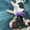 Thumbnail 22