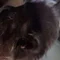 Thumbnail 15