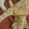 Thumbnail 13
