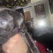 Thumbnail 13