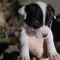 Thumbnail 22