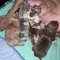 Thumbnail 23