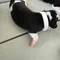 Thumbnail 20